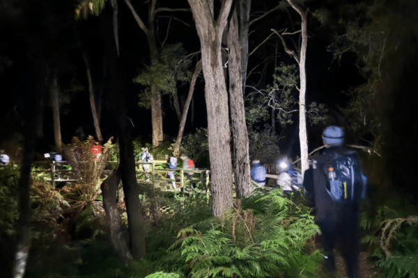 Hike the Night (3)